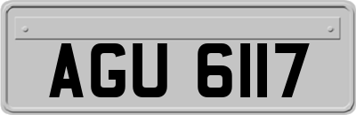 AGU6117