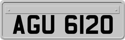 AGU6120