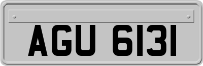 AGU6131