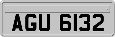 AGU6132
