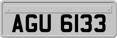 AGU6133
