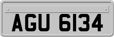 AGU6134