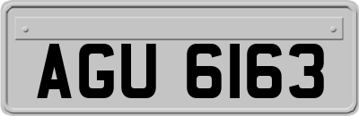 AGU6163