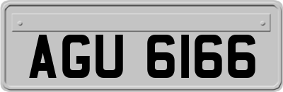 AGU6166