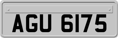 AGU6175