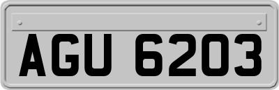 AGU6203