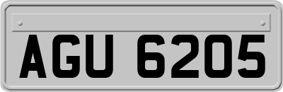 AGU6205