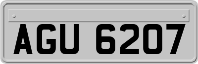 AGU6207