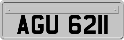 AGU6211