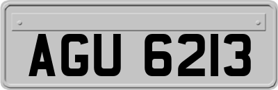 AGU6213