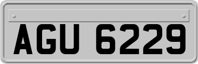 AGU6229