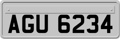 AGU6234