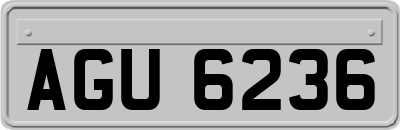 AGU6236
