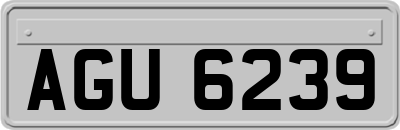AGU6239