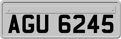 AGU6245