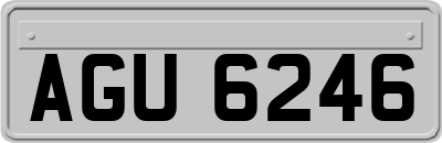 AGU6246