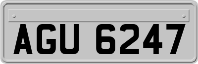 AGU6247