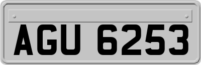 AGU6253