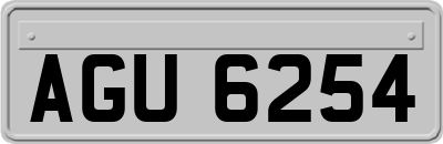 AGU6254