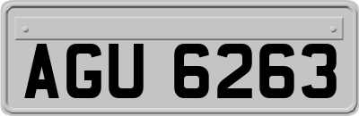 AGU6263
