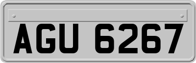 AGU6267