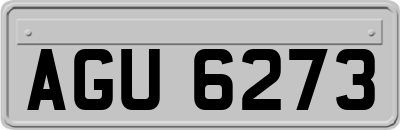 AGU6273