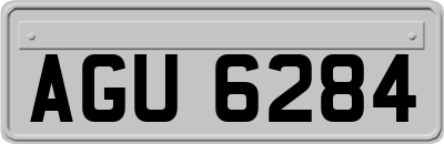 AGU6284