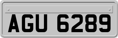 AGU6289