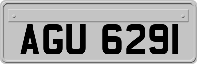 AGU6291