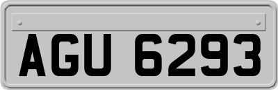 AGU6293