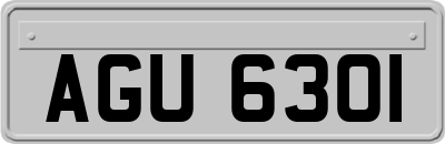 AGU6301