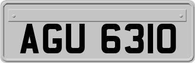 AGU6310
