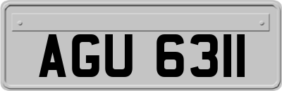 AGU6311