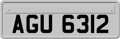 AGU6312