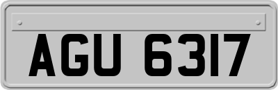 AGU6317