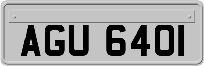 AGU6401