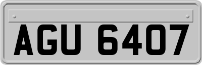 AGU6407