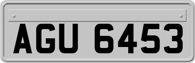 AGU6453