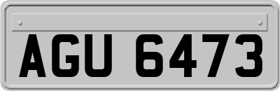 AGU6473