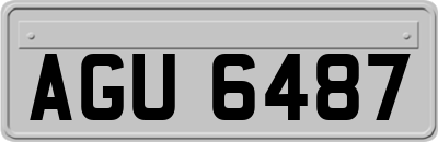 AGU6487