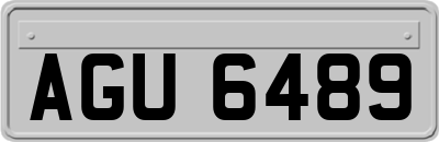 AGU6489