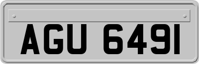 AGU6491