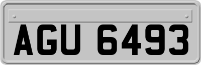 AGU6493