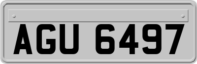 AGU6497