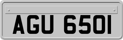 AGU6501