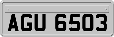 AGU6503