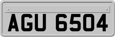 AGU6504