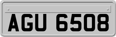 AGU6508