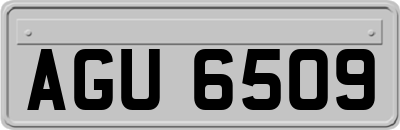 AGU6509