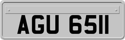 AGU6511
